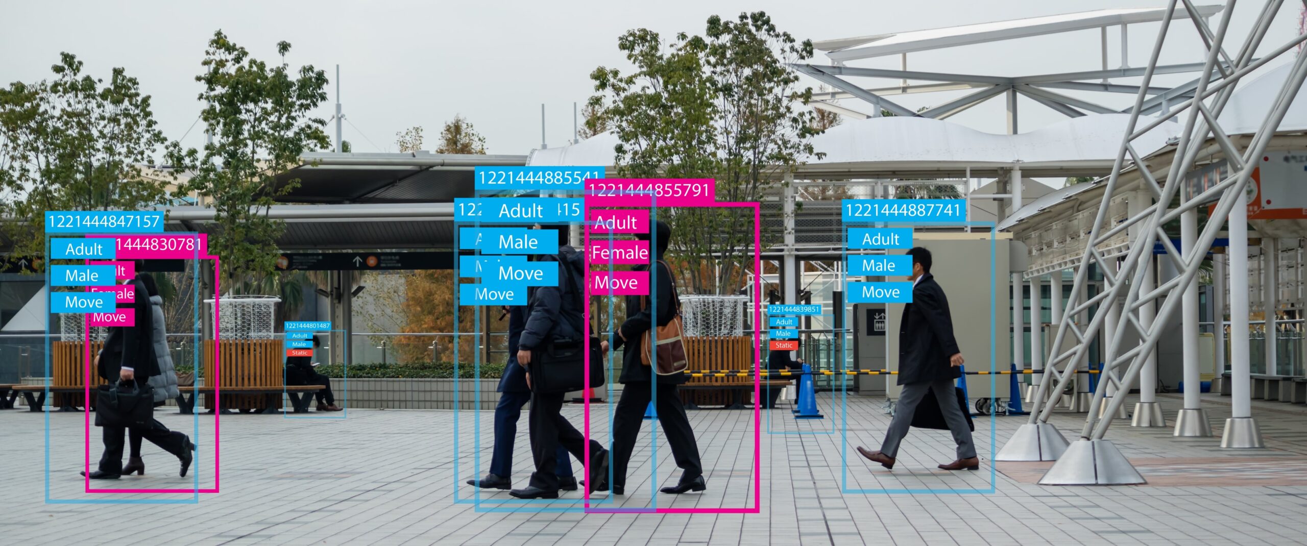 Flexible Vision | Evolution of Visual AI and How Advanced Algorithms are Transforming Industries